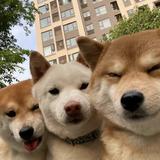 用户1008435882791头像