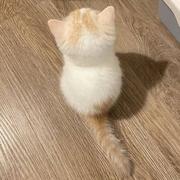 霁月月的个人资料头像