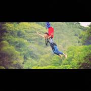 Cheese的个人资料头像