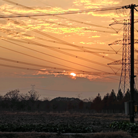 用户9158687732035头像