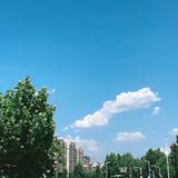 尊享夏日清风头像