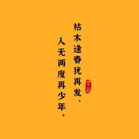 想养只边牧丫头像