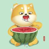 每天敲敲键盘头像