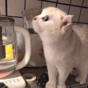 Captain340的个人资料头像