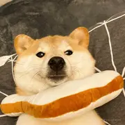 Eyuis的个人资料头像