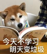 gf的个人资料头像