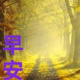 568367698头像