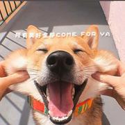 Lime_的个人资料头像