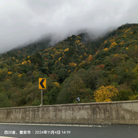 好心情💜好运来头像