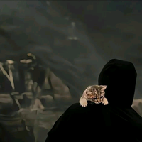 淡泊的梦想R0m头像