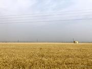 西二旗到西北旺的个人资料头像