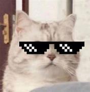 叫我夏洛的个人资料头像