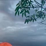 有容乃大229380447头像