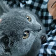 马保国师弟的个人资料头像