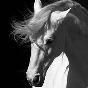 syz00的个人资料头像