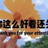 旺角旗舰店头像