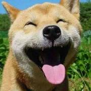 zhenh的个人资料头像