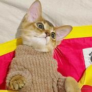 拾贰twelvve的个人资料头像