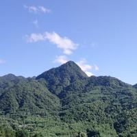 实在费伊6F7头像