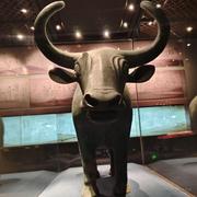 篮子里的玫瑰的个人资料头像