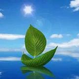 未来的希望853头像