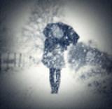 用户8347135495523头像