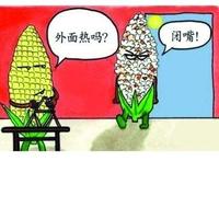 不如归去787头像