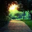 邹恒业的个人资料头像