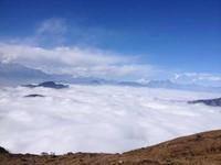 想你的夜200头像