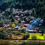 王伟8493头像
