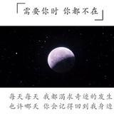 心若向阳不若悲伤头像