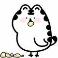 涛🙉头像