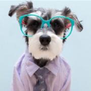 闫小鑫的个人资料头像