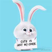 Want595的个人资料头像