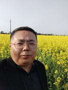 程序员勇哥的个人资料头像