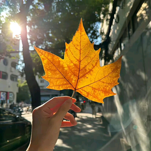 有空一起喝杯咖啡吧头像