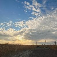 宋sssssssssssssss头像