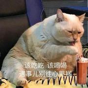 nbllglm的个人资料头像