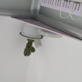 布丁狗头像