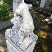 聪明的扑克TGD头像