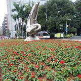 明天会更好819155925703头像