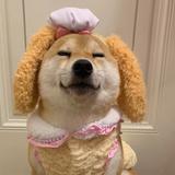 合肥大腿头像