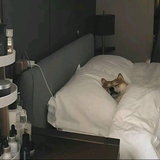 快乐源泉丿头像