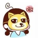 柳小刀的个人资料头像