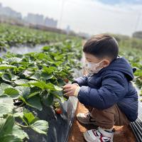 才思敏捷的77妈头像