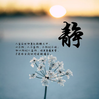 三七是二十一头像