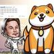 OBABYDOGE马斯克头像