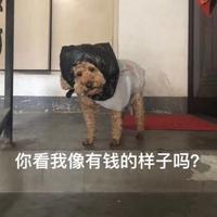 鄙人达文西m头像