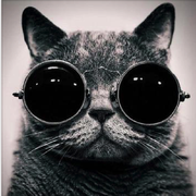 LambdaTNT的个人资料头像