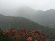 学不动了我的个人资料头像